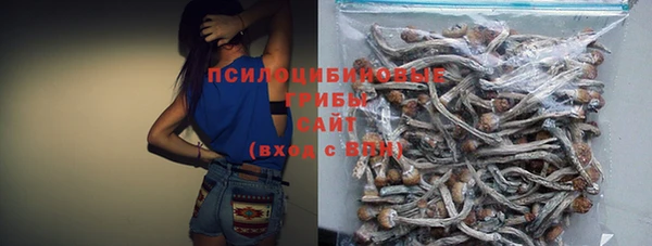 шишки Алексин
