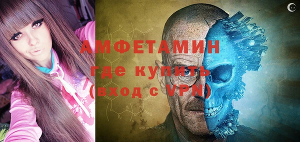 шишки Алексин