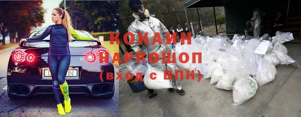 шишки Алексин