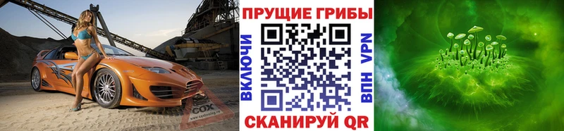 цена наркотик  Томмот  Галлюциногенные грибы Psilocybe 